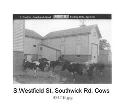 gal/Howes Brothers Agawam Pictures/tn_DCP_604.jpg